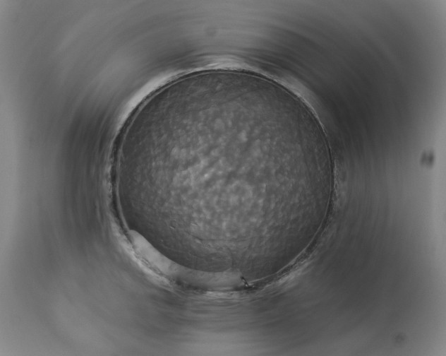 X0000113251142200909241605