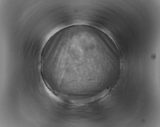 X0000113251143200909241605