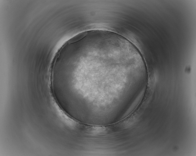 X0000113251144200909241605