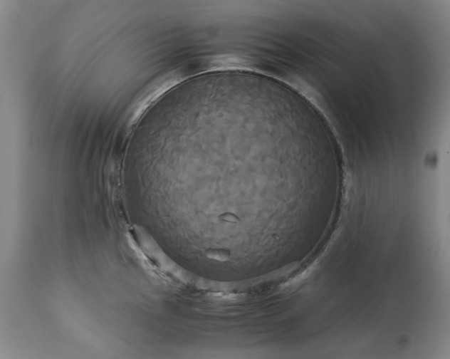 X0000113251145200909241605