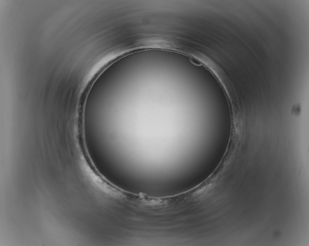 X0000113251147200909241605