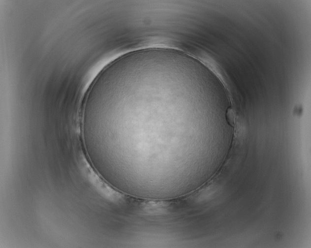 X0000113251148200909241605