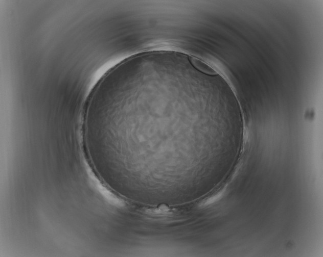 X0000113251149200909241605