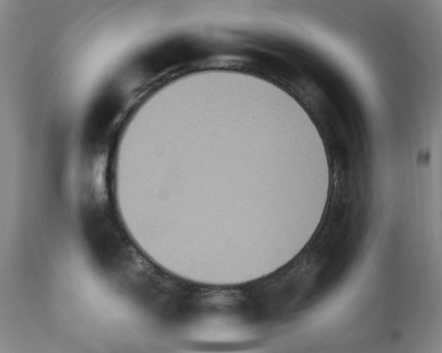 X0000113251150200909241605