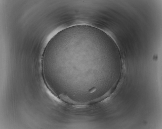 X0000113251151200909241605