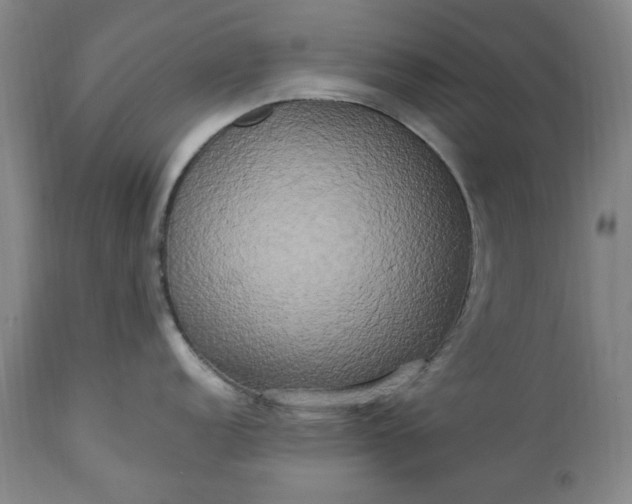 X0000113251152200909241605