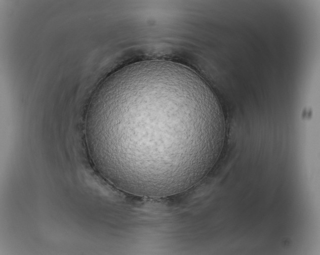 X0000113251153200909241604