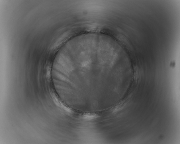 X0000113251154200909241604