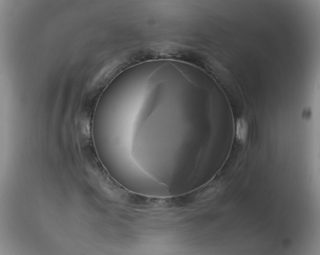 X0000113251155200909241604