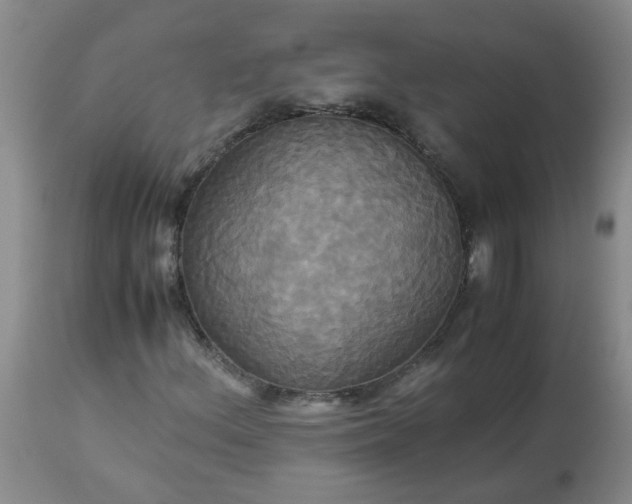 X0000113251156200909241604