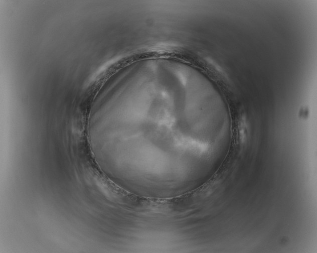 X0000113251158200909241604