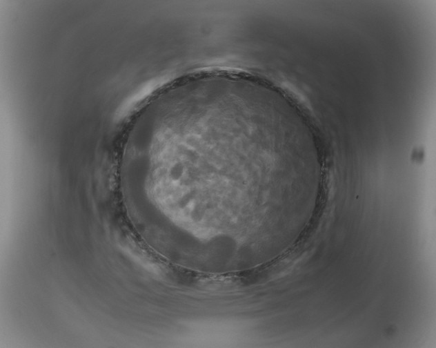 X0000113251159200909241604