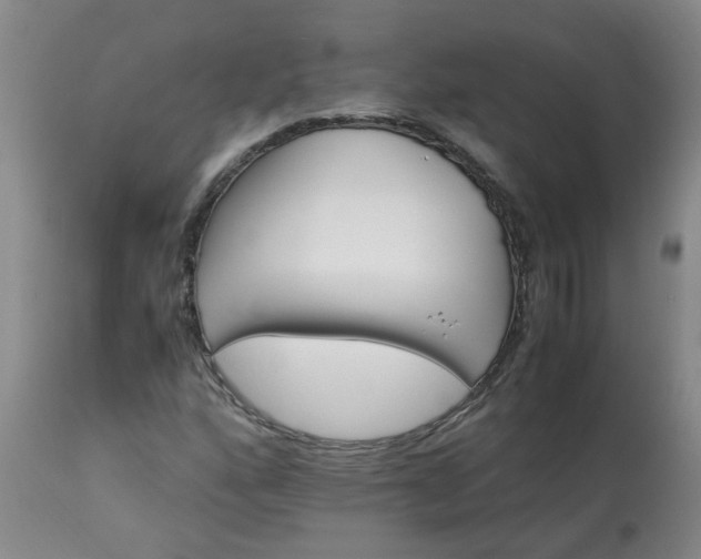 X0000113251160200909241604