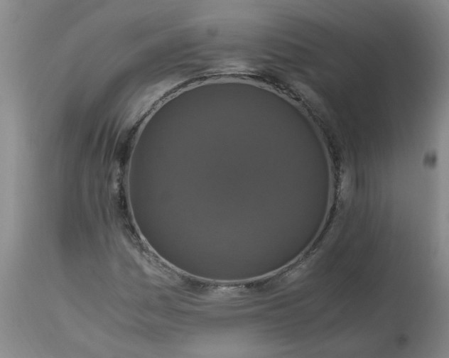 X0000113251161200909241604