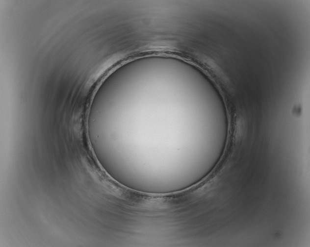 X0000113251162200909241604