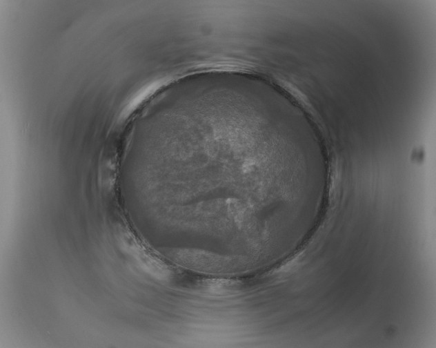 X0000113251163200909241604