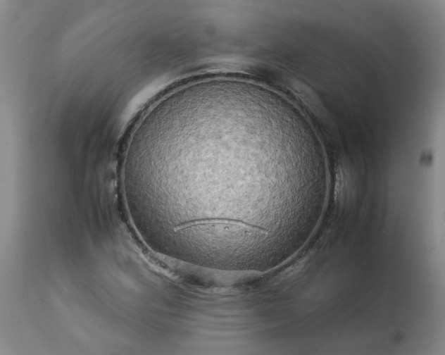 X0000113251164200909241604