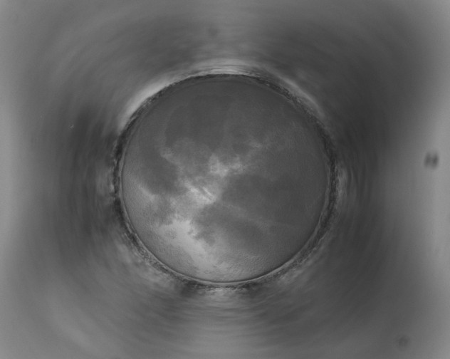 X0000113251166200909241604