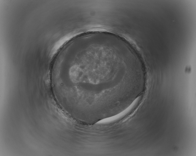 X0000113251167200909241604