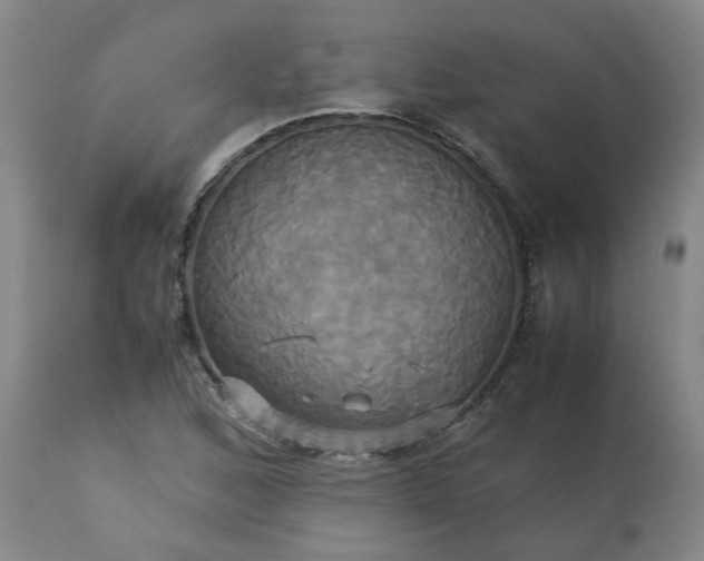 X0000113251168200909241604