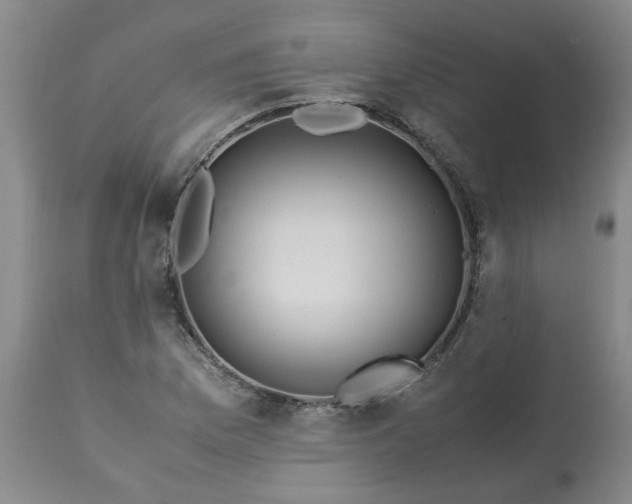 X0000113251169200909241604