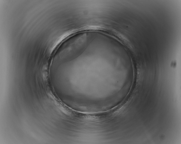 X0000113251170200909241604