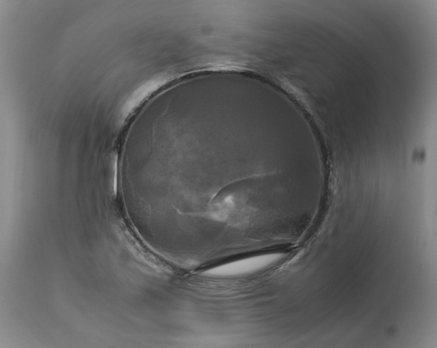 X0000113251171200909241604