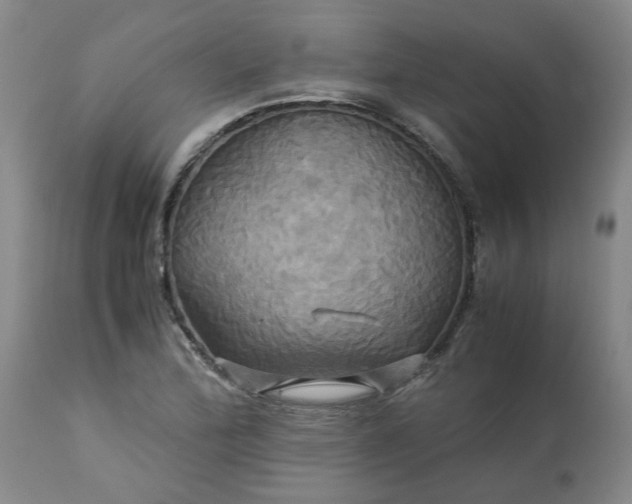 X0000113251172200909241604