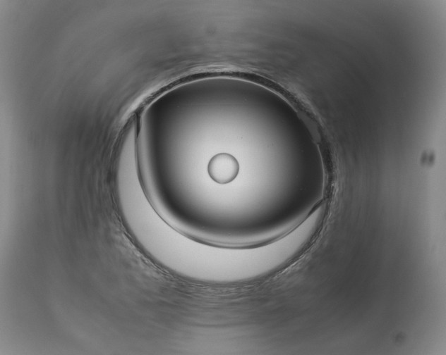 X0000113251173200909241604