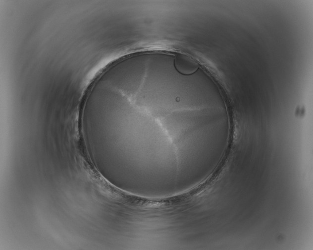 X0000113251174200909241604