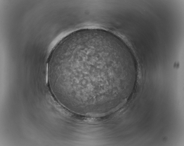 X0000113251175200909241604