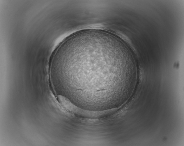 X0000113251176200909241604