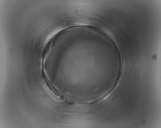 X0000113251179200909241603