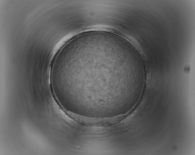 X0000113251180200909241603