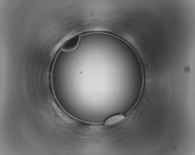 X0000113251181200909241603