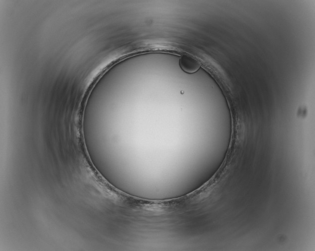 X0000113251182200909241603