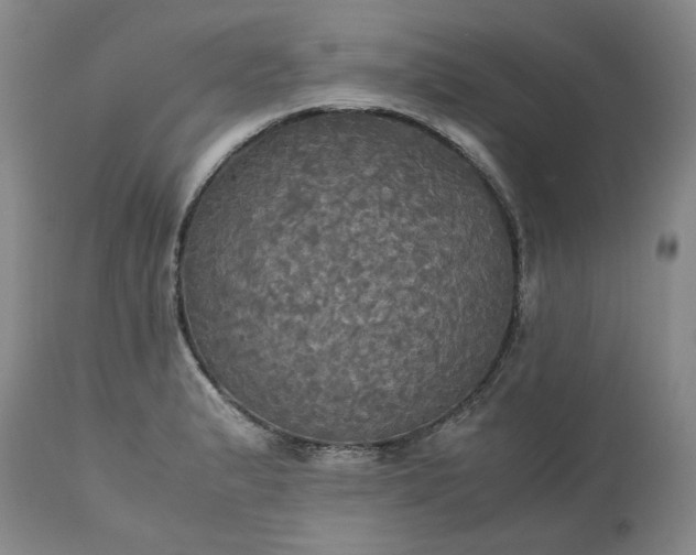 X0000113251183200909241603