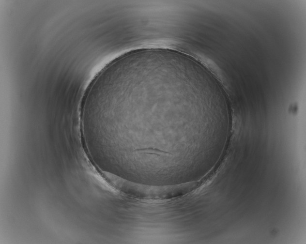 X0000113251184200909241603