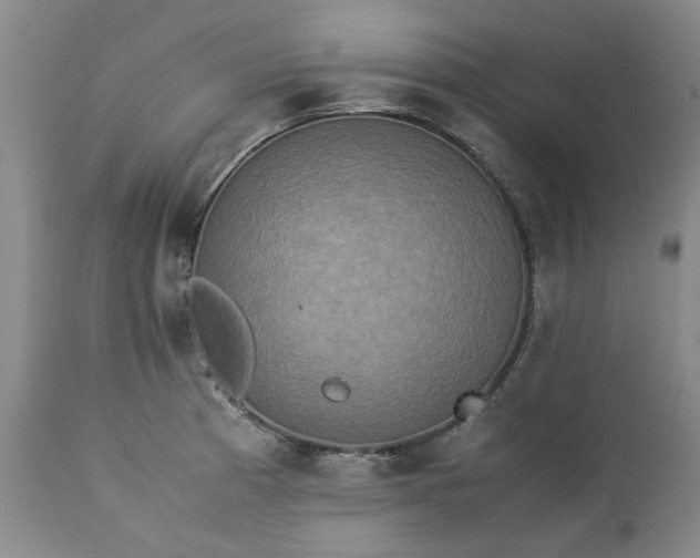 X0000113251185200909241603