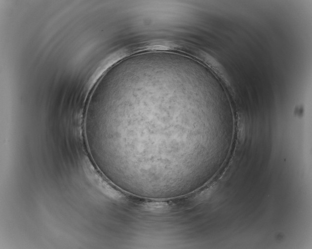 X0000113251186200909241603