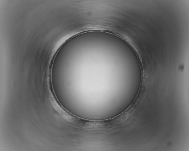 X0000113251187200909241603