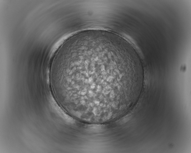 X0000113251188200909241603