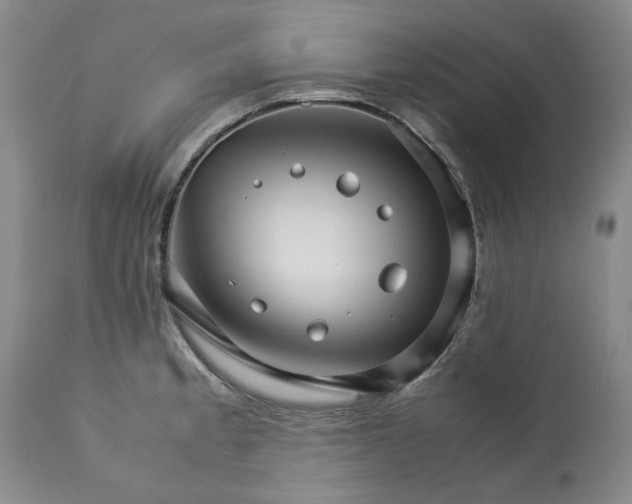 X0000113251189200909241603