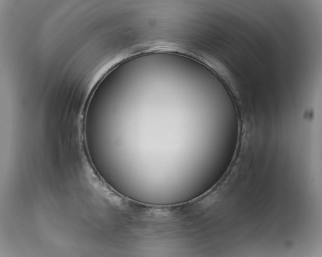 X0000113251190200909241603