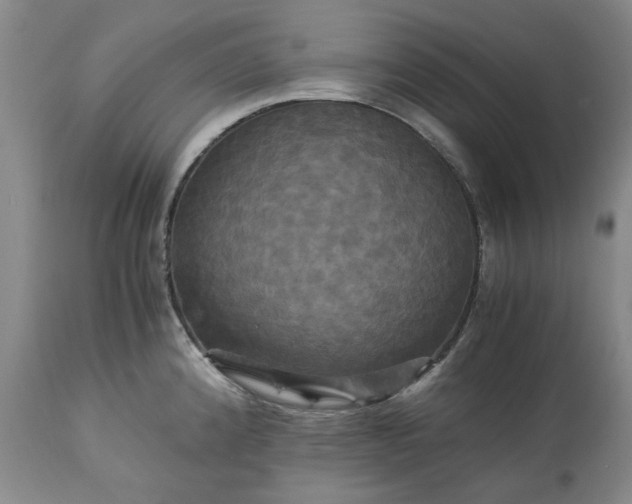 X0000113251192200909241603