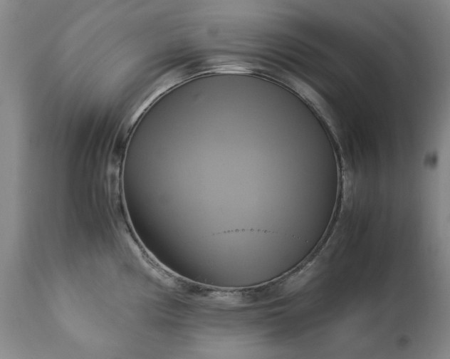 X0000113251194200909241603