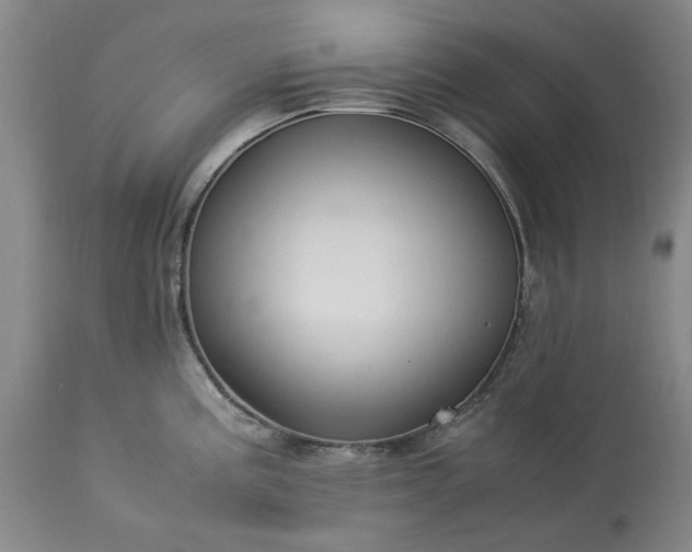 X0000113251195200909241603