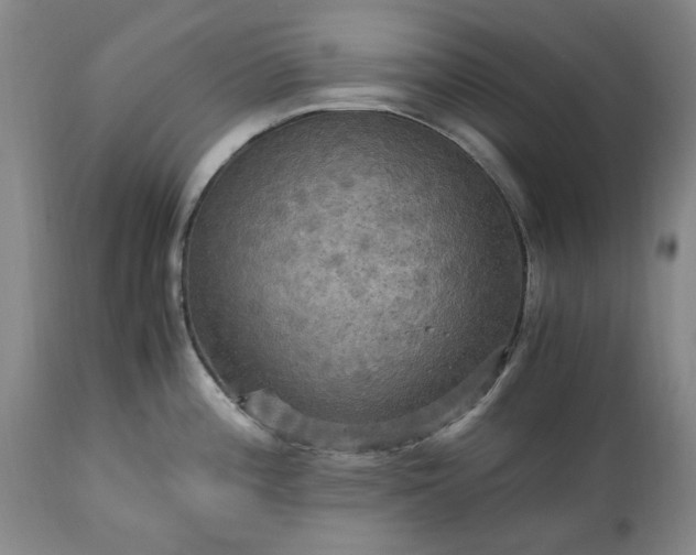 X0000113251196200909241603