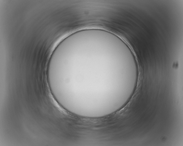 X0000113251197200909241603