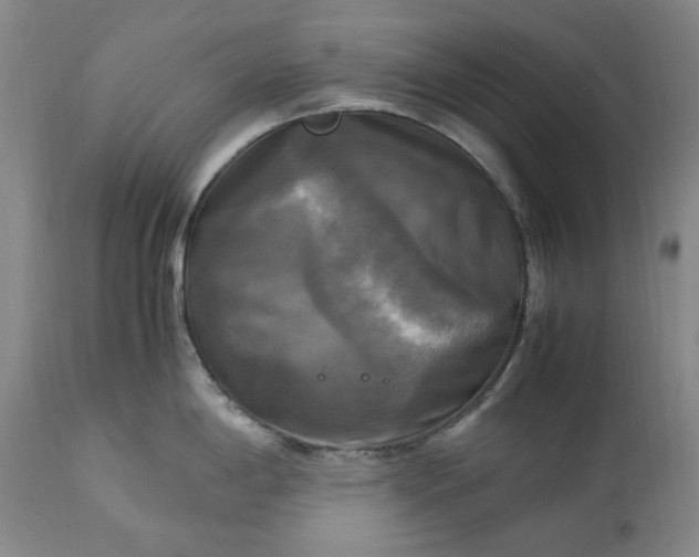 X0000113251198200909241603